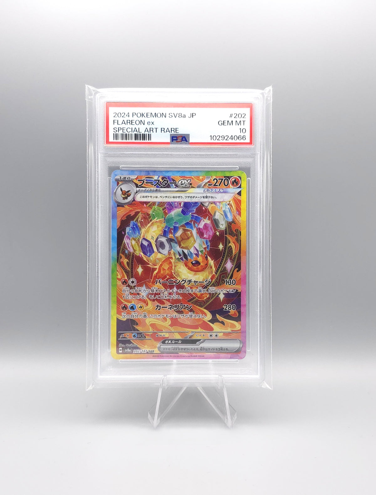 Pokemon Terastal Festival ex | Flareon ex | sv8a 202 | PSA10 | Japanisch
