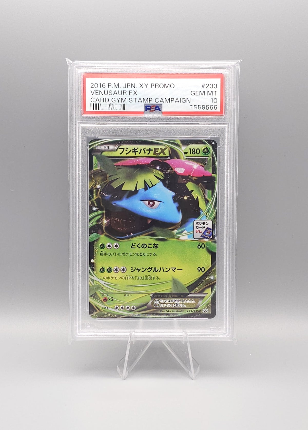 Pokemon Card Gym Stamp Campaign | Venusaur EX | XY-P 233 | PSA10 | Japanisch